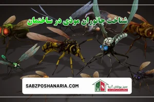 شناخت جانوران موذی در ساختمان