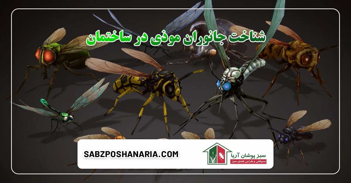 شناخت جانوران موذی در ساختمان