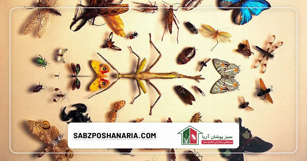 رایجترین جانوران موذی در ساختمان