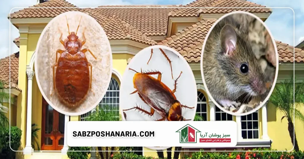 چرا باید جانوران موذی را در ساختمانها شناسایی کنیم؟