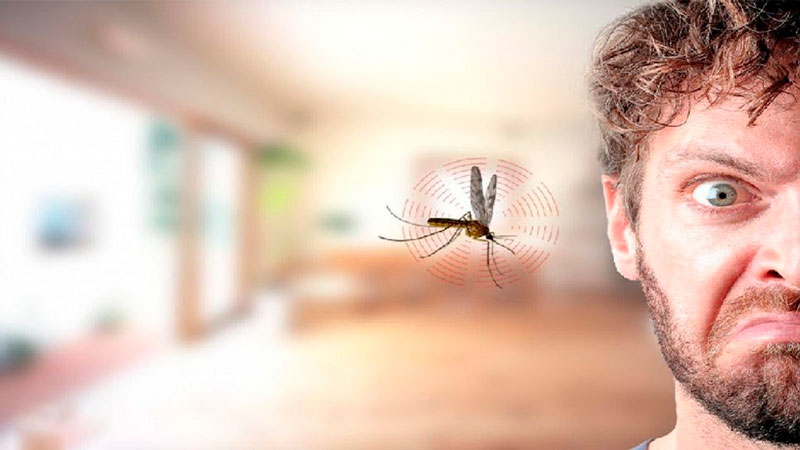 خلاص شدن از شر حشرات در خانه مشکلی است که بسیاری از افراد ممکن است نتوانند بر آن غلبه شوند، زیرا هر نوع حشره دارای روش های کنترل و نابودی مخصوصی است