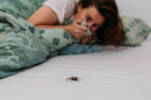 چگونه از حشرات در هنگام خوابیدن جلوگیری کنیم؟