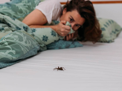 چگونه از حشرات در هنگام خوابیدن جلوگیری کنیم؟