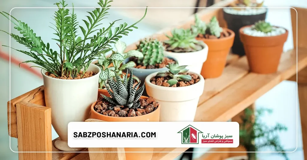 نحوه استفاده از گیاهان ضد حشره