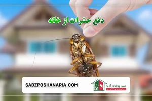 سمپاشی حشرات خانگی به صورت خانگی و تخصصی