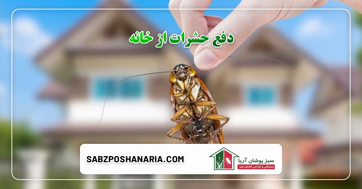 سمپاشی حشرات خانگی به صورت خانگی و تخصصی