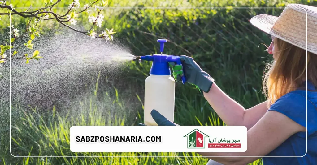 بهترین زمان برای سمپاشی سوسک