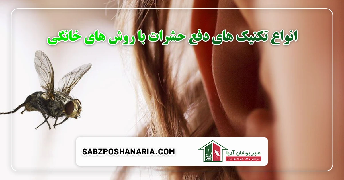 انواع تکنیک های دفع حشرات با روش های خانگی