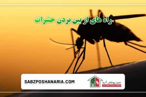 راه های از بین بردن حشرات