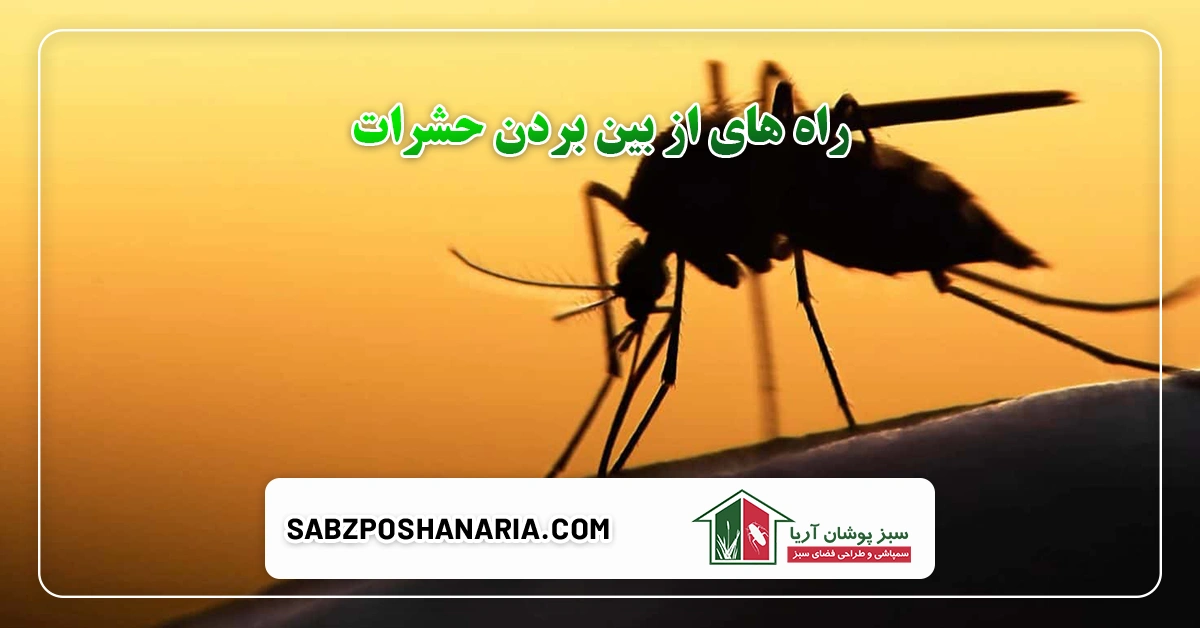 راه های از بین بردن حشرات