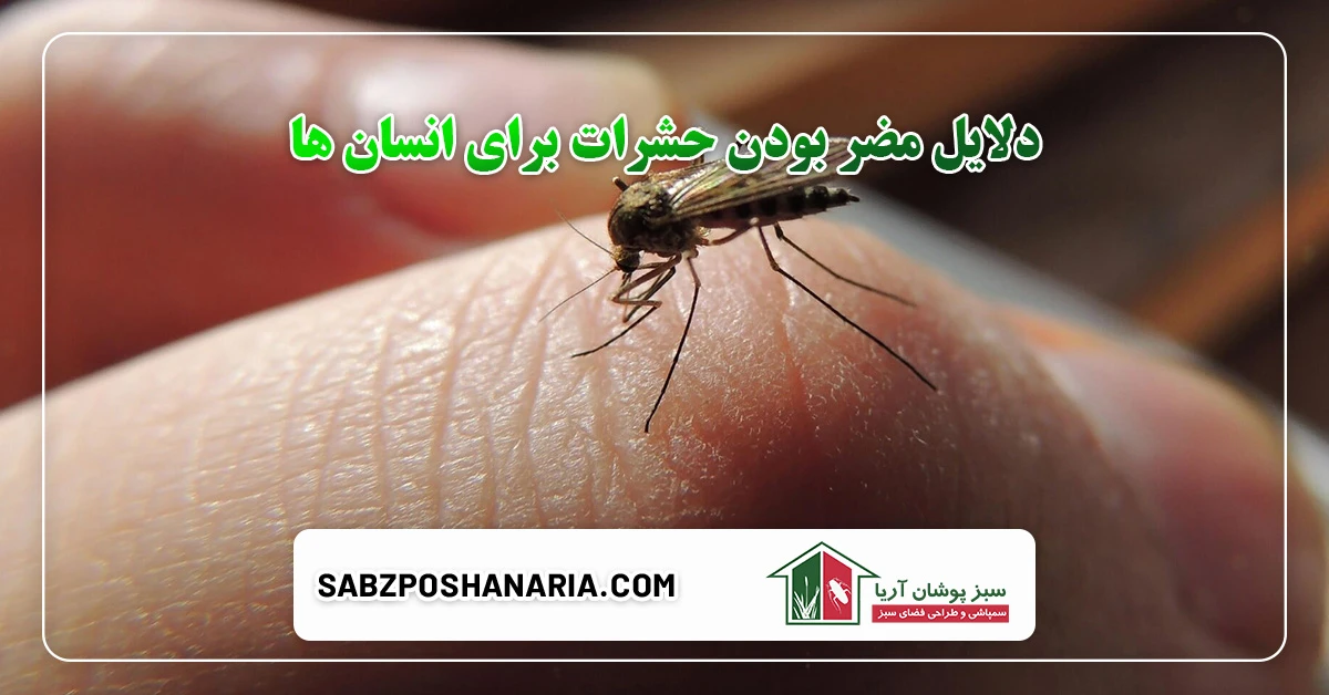 دلایل مضر بودن حشرات برای انسان ها
