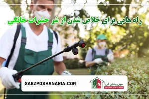 راه هایی برای خلاص شدن از شر حشرات خانگی