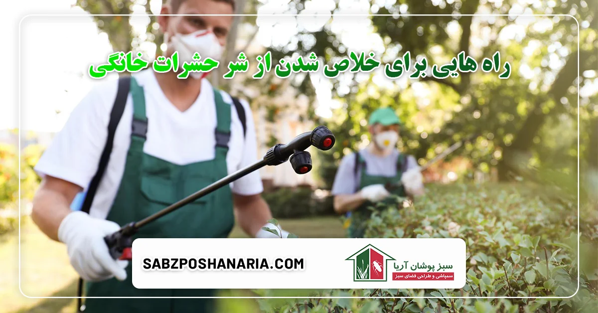 راه هایی برای خلاص شدن از شر حشرات خانگی