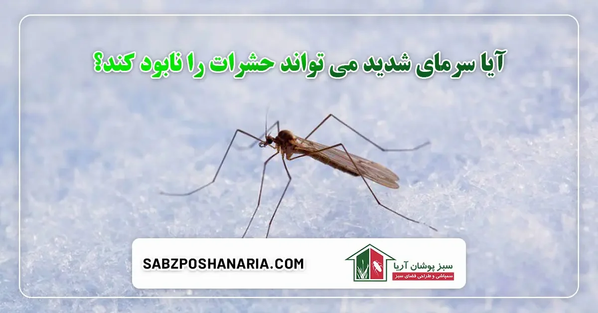 سرمای هوا و نابودی حشرات