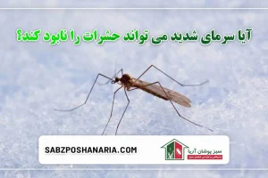 سرمای هوا و نابودی حشرات