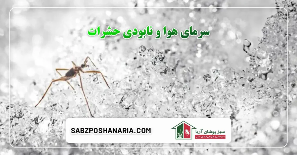 سرمای هوا و نابودی حشرات امکان پذیر است؟