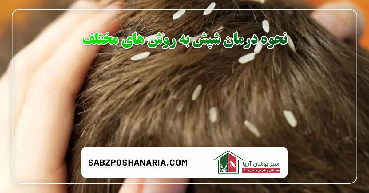 نحوه درمان شپش به روش های مختلف