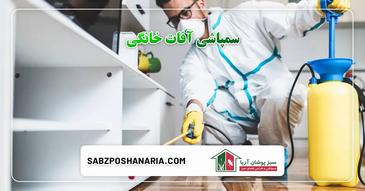 سمپاشی آفات خانگی