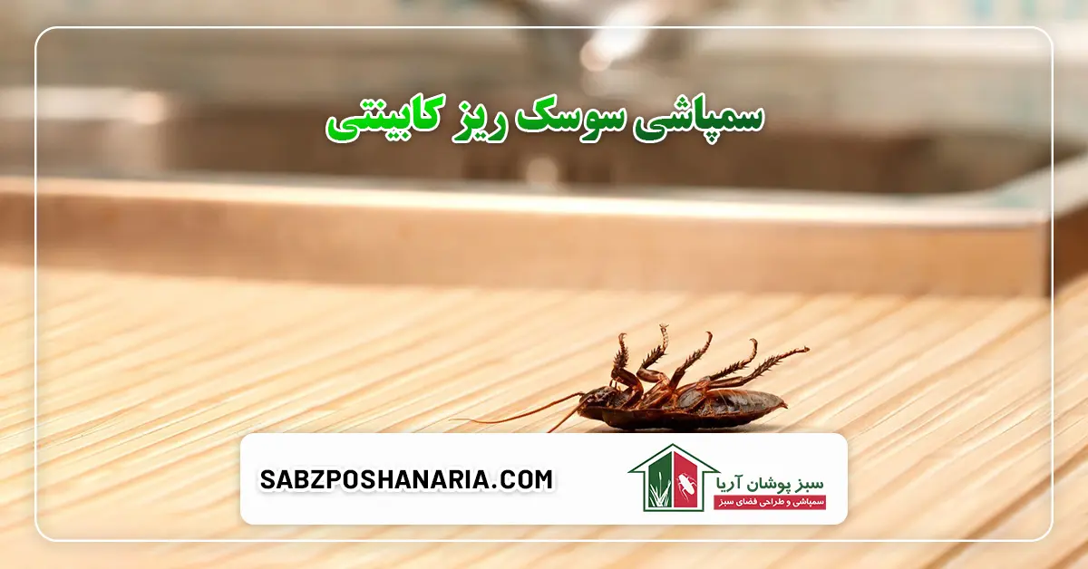 سمپاشی سوسک ریز کابینتی