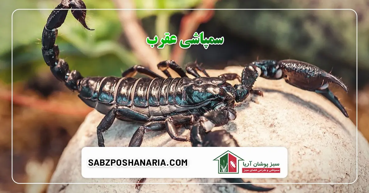 سمپاشی عقرب