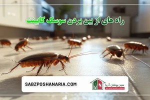 راه های از بین بردن سوسک کابینت