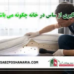 روش های پیشگیری از ساس در خانه