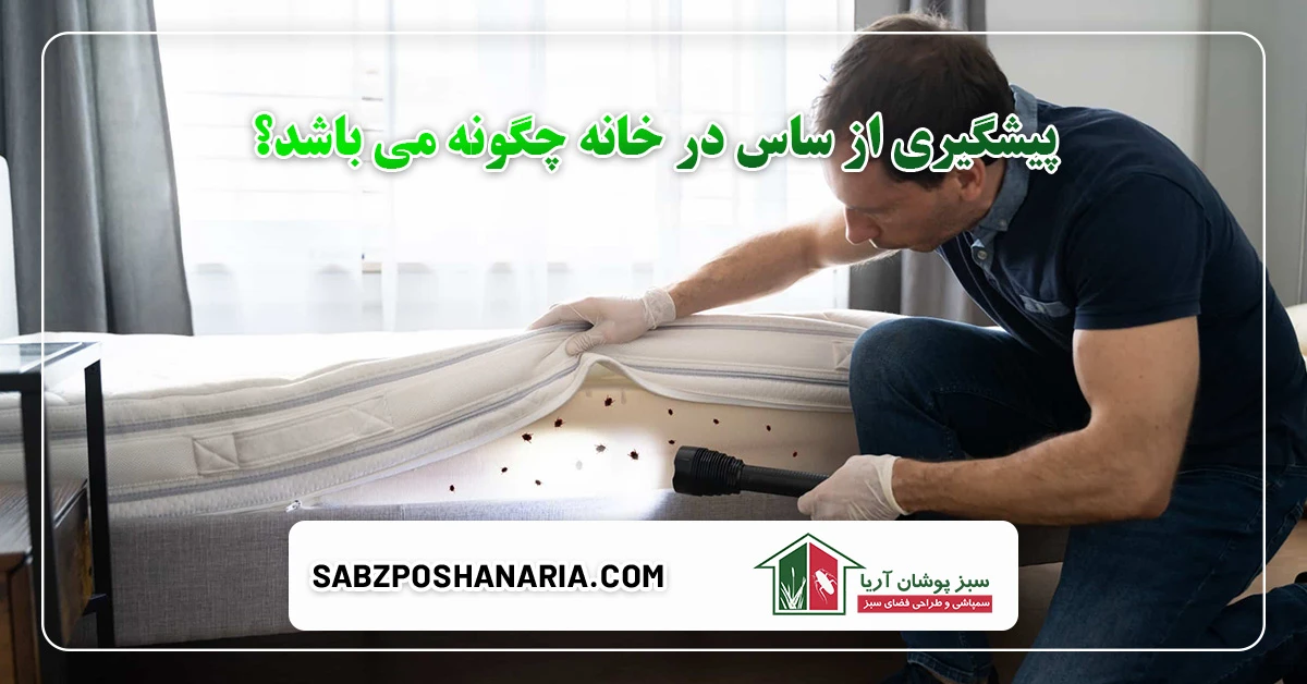 روش های پیشگیری از ساس در خانه