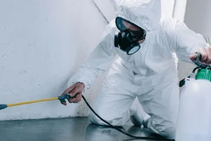 سم پاشی محل کار و شرکت