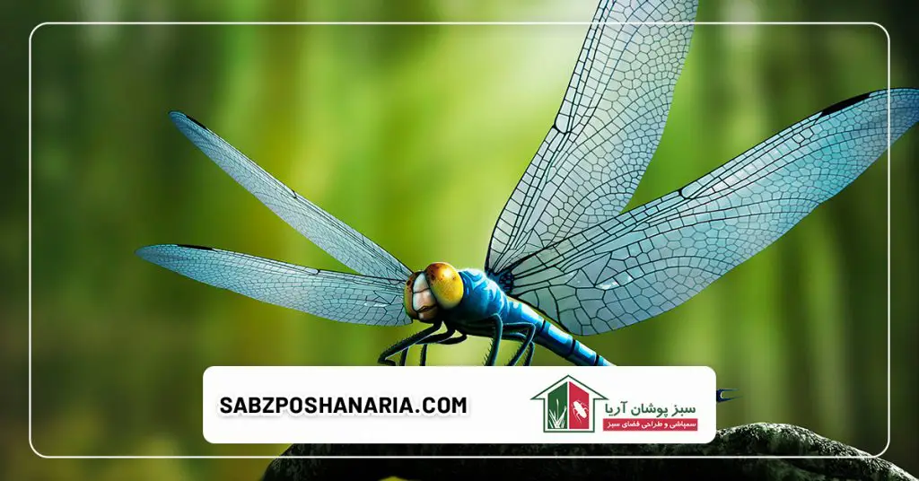 حشرات نیمه مفید یا خنثی